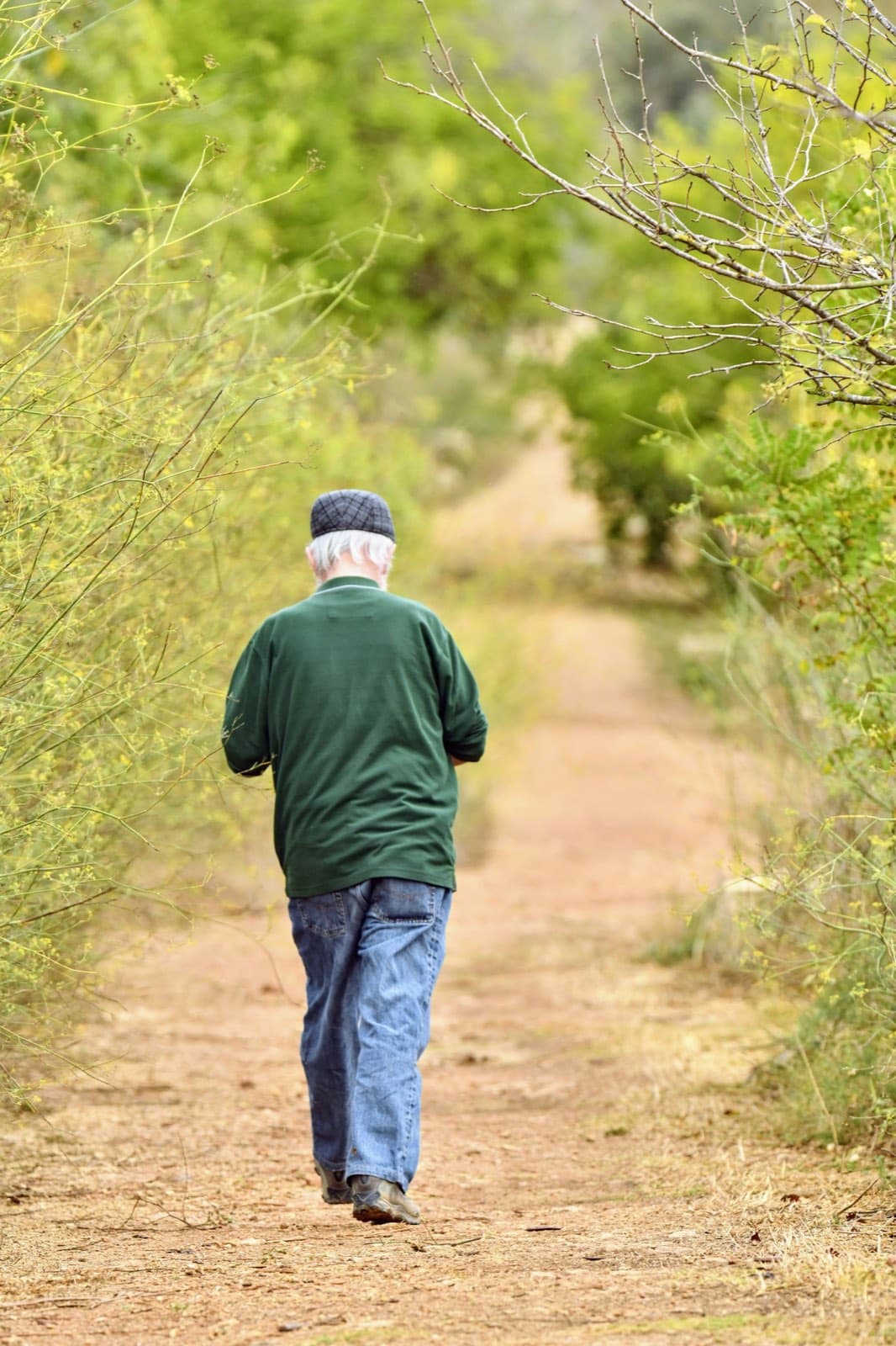 A white-haired man in a green shirt, jeans and flat cap walks upright away from the camera along a dirt path lined with green shrubs.